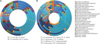 Evaluation of the Antimicrobial Activity of Endophytic Bacterial Populations From Chinese Traditional Medicinal Plant Licorice and Characterization of the Bioactive Secondary Metabolites Produced by Bacillus atrophaeus Against Verticillium dahliae